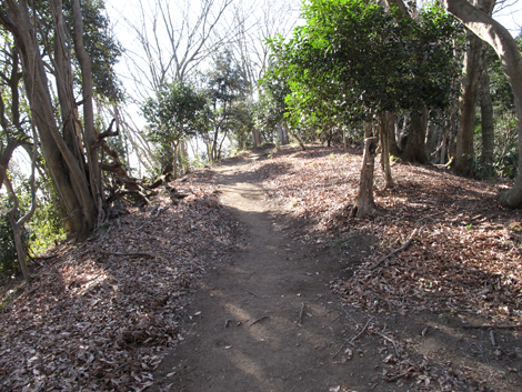 20170126hike (69)